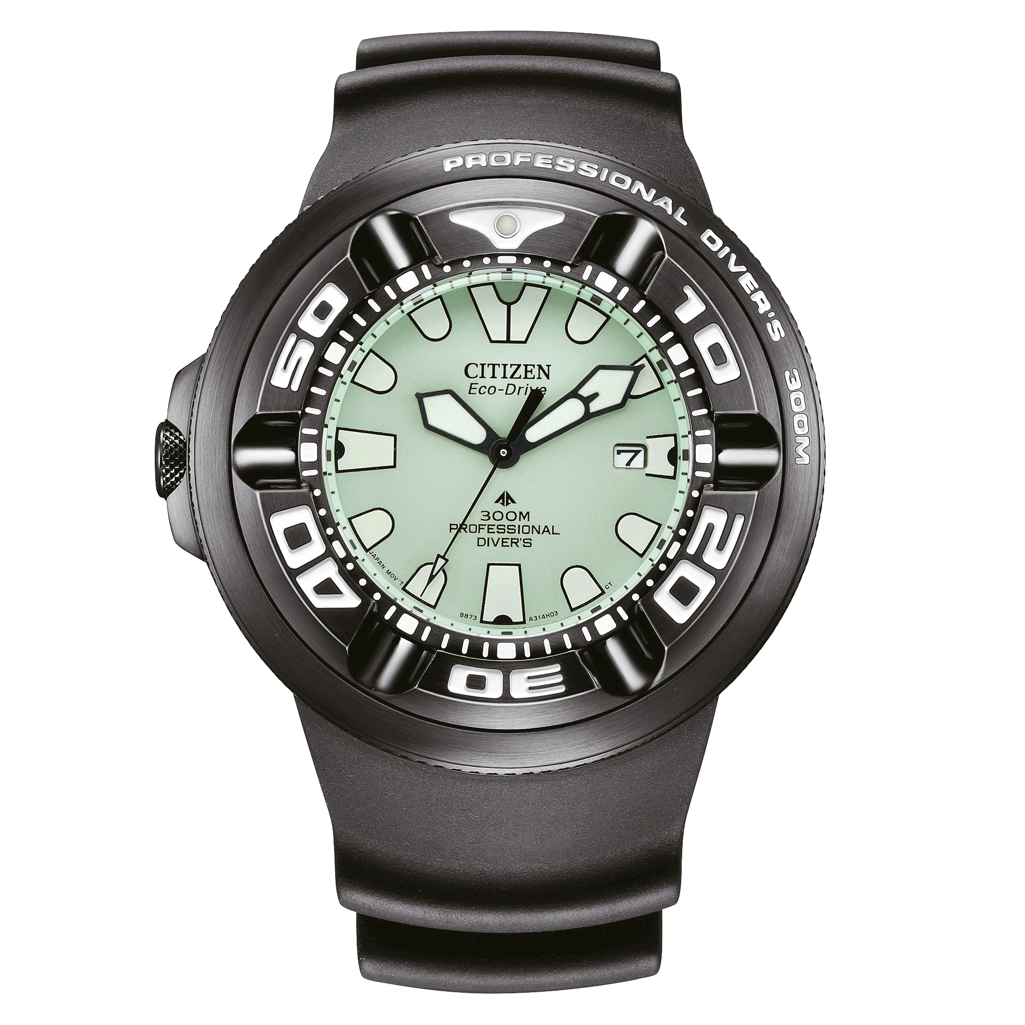Citizen Promaster Professional Diver 300 BJ8055-04X