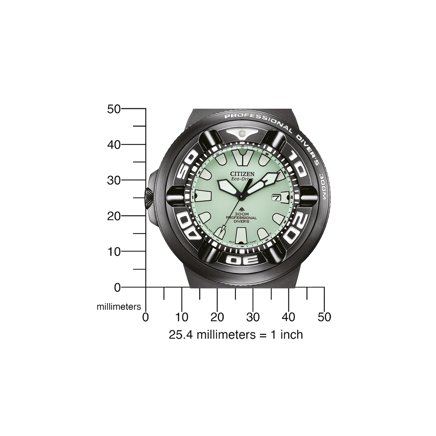Citizen Promaster Professional Diver 300 BJ8055-04X