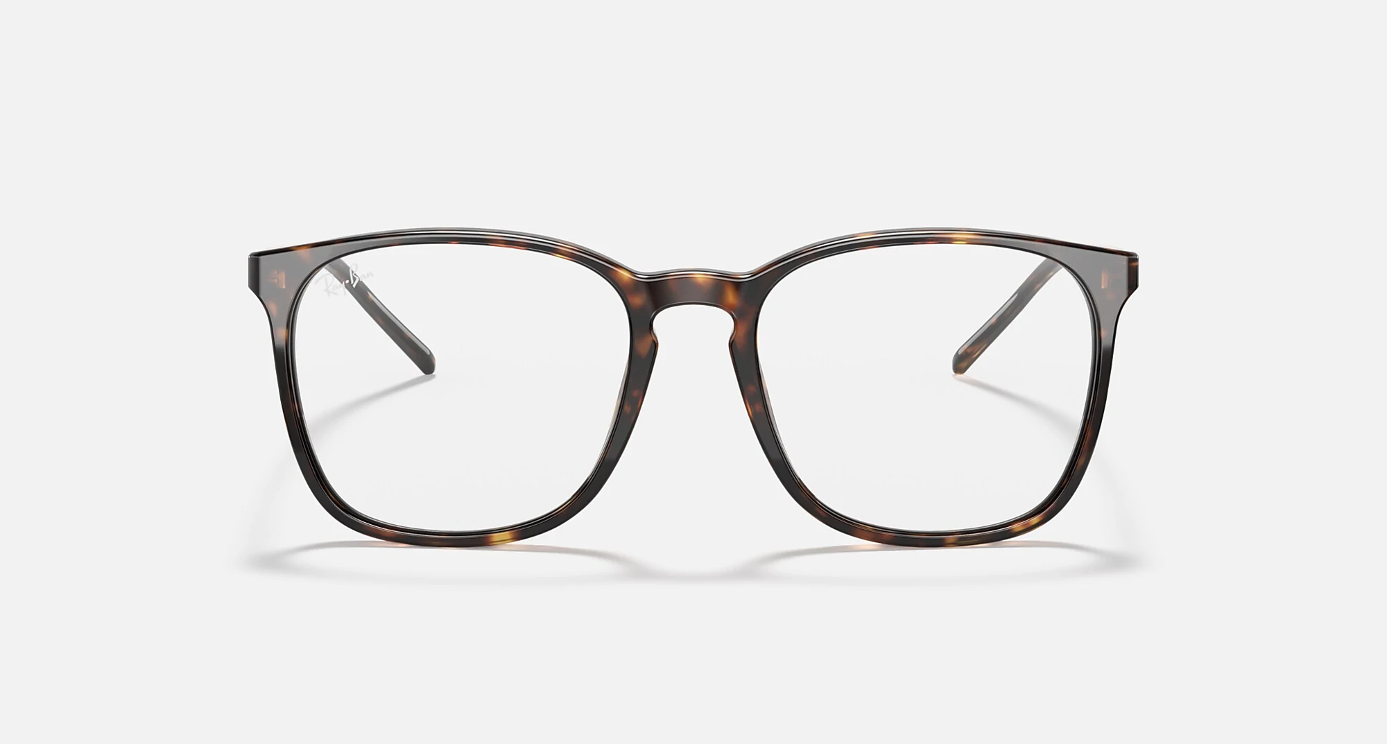 Ray-Ban RB5387 Optics
