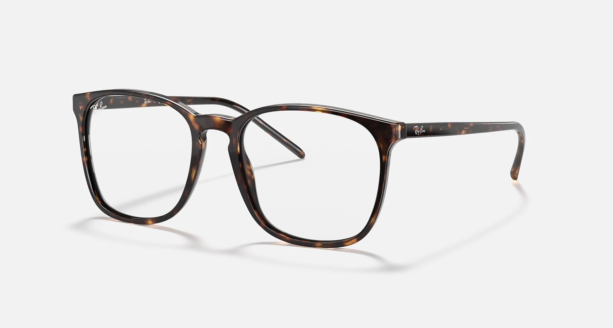 Ray-Ban RB5387 Optics