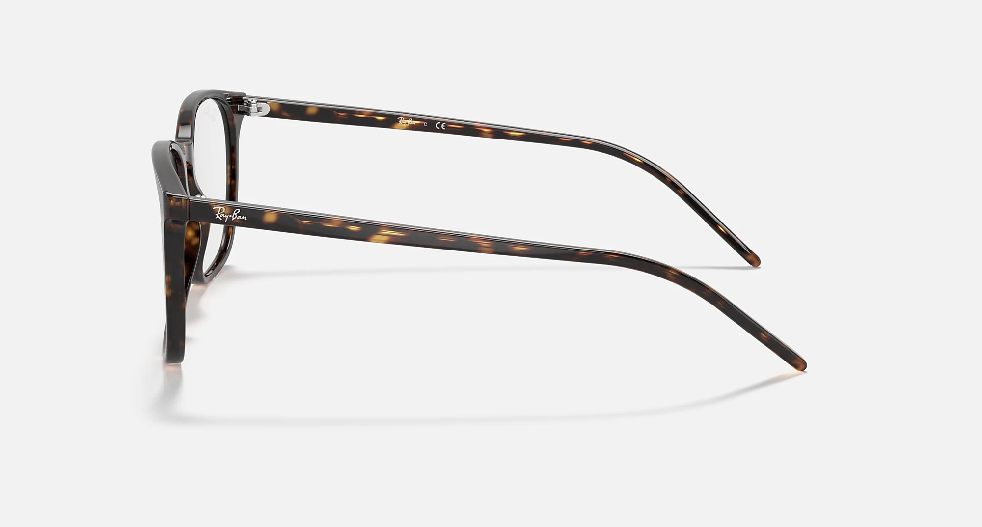Ray-Ban RB5387 Optics