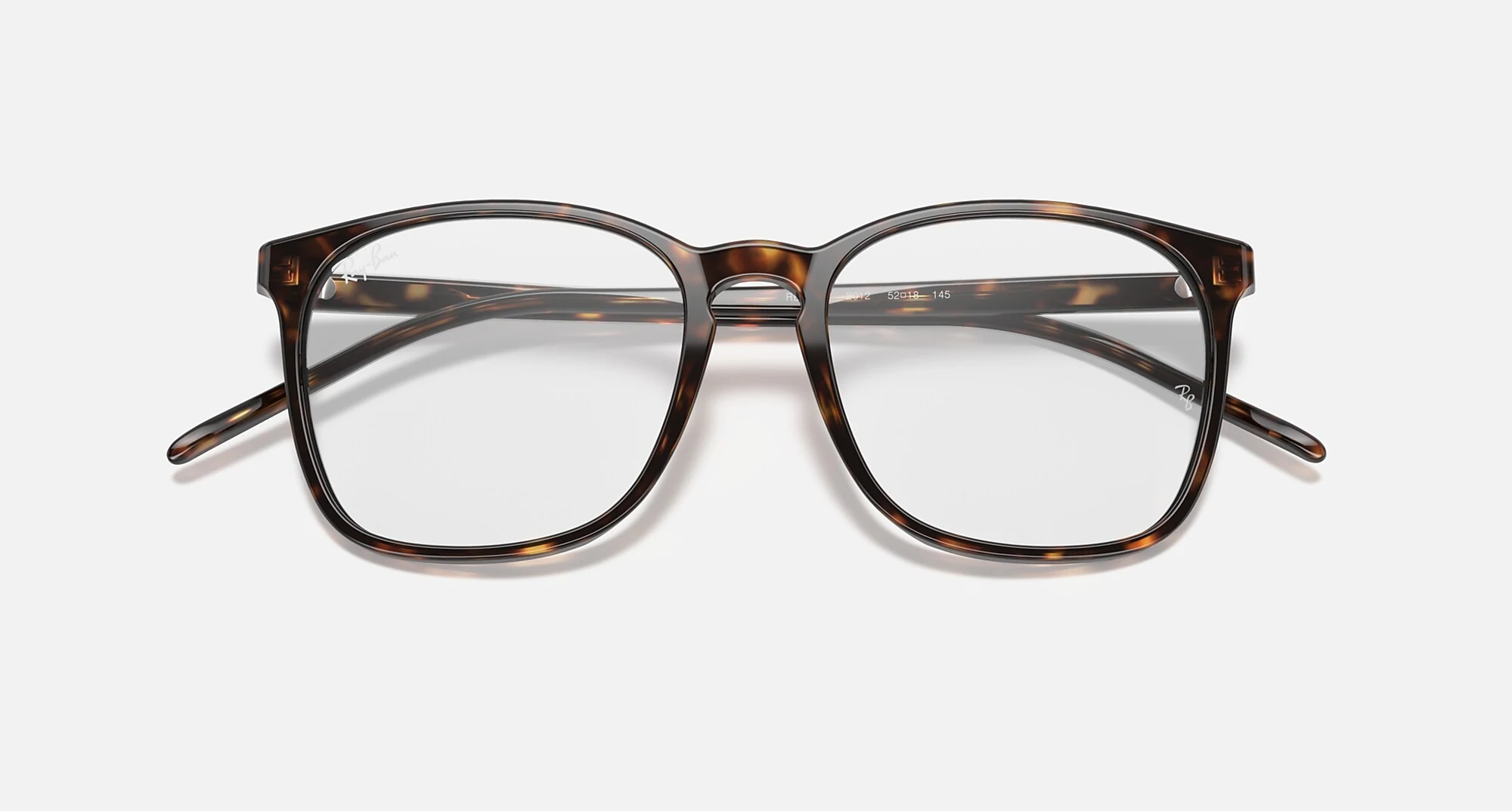 Ray-Ban RB5387 Optics