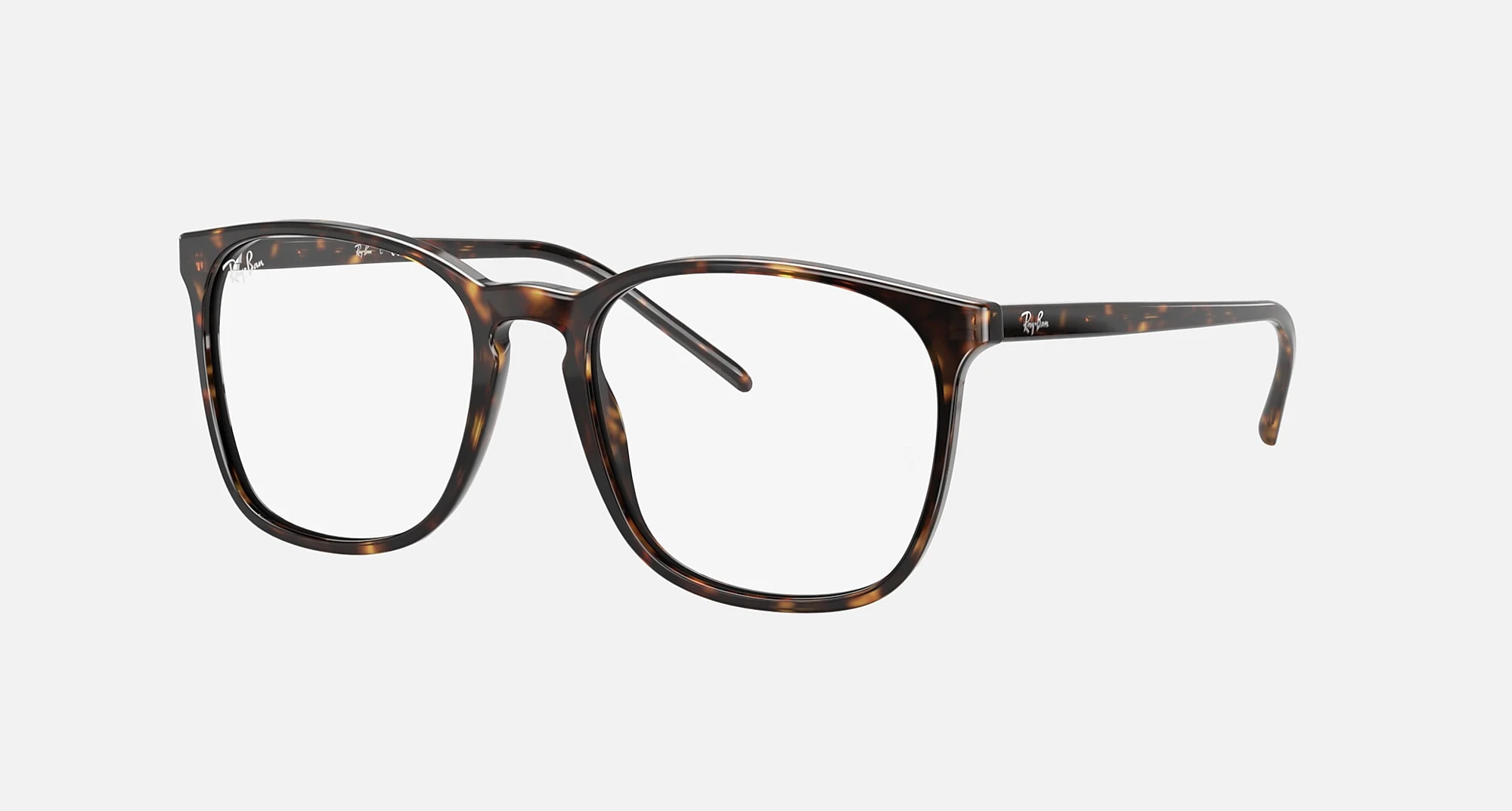 RB5387 Optics