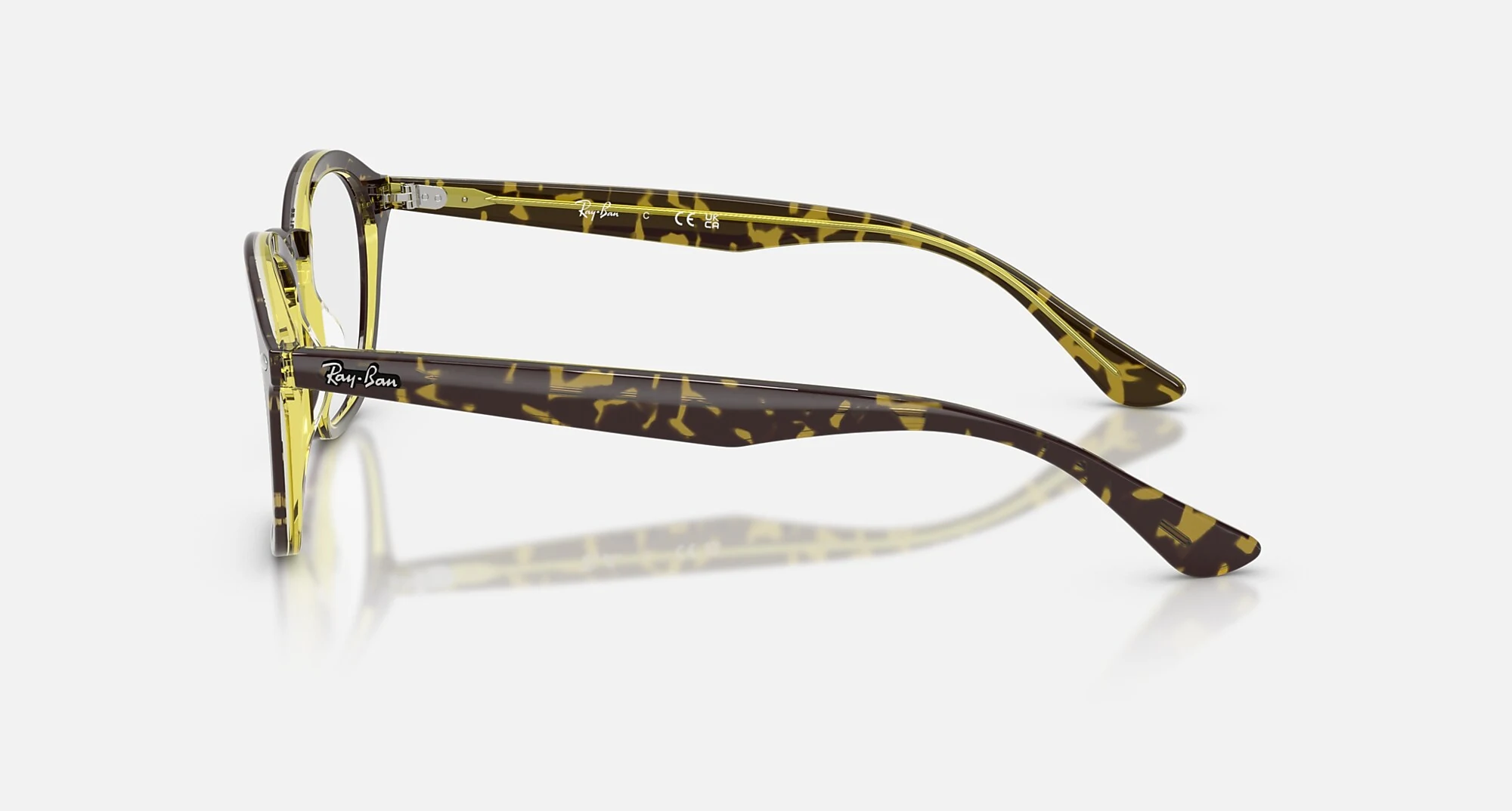 Ray-Ban RB5451 Optics